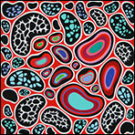 bild7